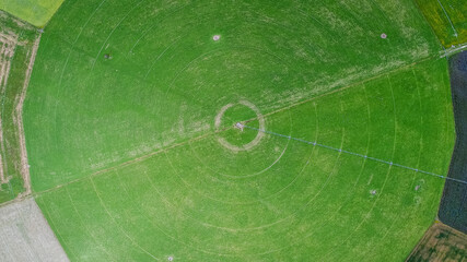 circle crop fields seen from above