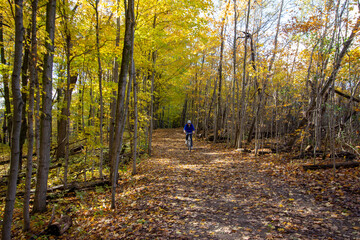Canadian Natural Area in Fall