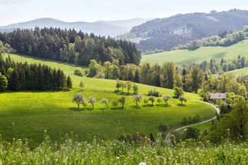 green landscape moutains in the summer