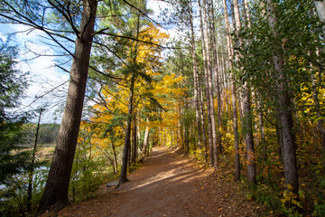 Obraz premium Canadian Natural Area in Fall