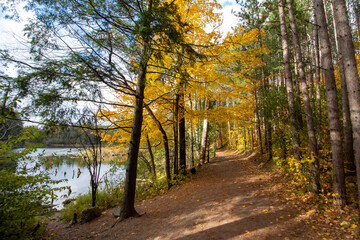 Canadian Natural Area in Fall