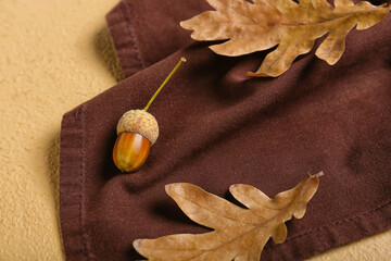 Oak acorn and dry leaves on color background, closeup