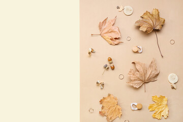 Stylish jewelry and dry leaves on color background