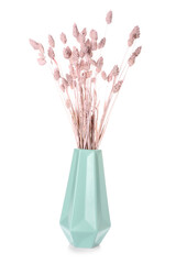 Vase with dried flowers on white background