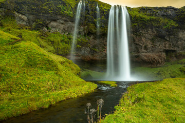 Seljalandsfoss waterfall at sunset in Iceland. Water is milky white set against verdant green...