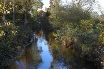 a small river in the wildness at the morning time