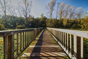 Fototapeta na wymiar wooden bridge in the autumn woodlands