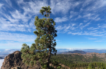Obraz premium Gran Canaria, landscape of the central montainous part of the island, Las Cumbres, ie The Summits 