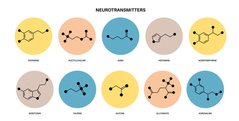Chemical formulas of neurotransmitters - 466363408