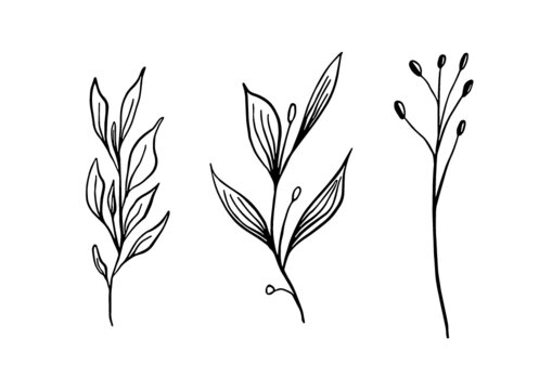 silhouette of a tree