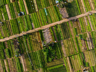 Vegetable village aerial view in Hoi An, Vietnam