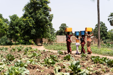 Typical African village scene with young girls carrying water containers on their heads; African...