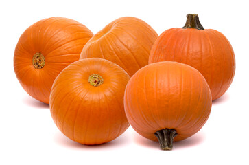 Round orange pumpkin isolated on white background