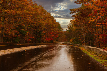 Obraz premium 2021-10-31 COUNTRY ROAD WITH MULTI COLORED FOLIAGE IN MAINE DURING THE CHANGING OF THE LEAVES