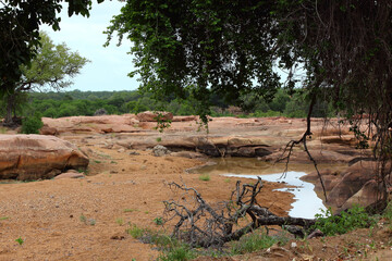 Afrikanischer Busch - Krügerpark - Red Rocks / African Bush - Kruger Park - Red Rocks /