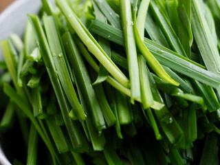 신선한 유기농 잎 채소 부추