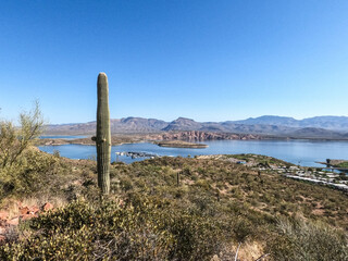 View of Roosevelt Lake Bridge from the Arizona Trail, Roosevelt, Arizona, U. S. A.