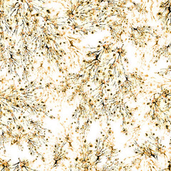 Seamless watercolor flowers pattern