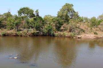Sweni River / Sweni River /