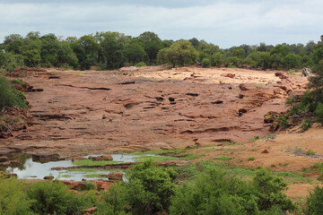 Afrikanischer Busch - Krügerpark - Red Rocks / African Bush - Kruger Park - Red Rocks /