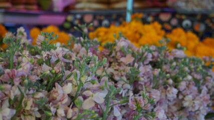 Flores en un mercado de flores florería