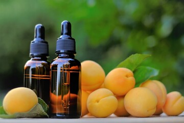 Apricot kernel oil. Organic natural oiland ripe apricots fruits. natural Apricot oil