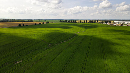 Aerial view of Poultry Factory, Sown Fields, Forest, Alley, Roads, Clear Sky, Shadows of Clouds, Summer, Ukraine