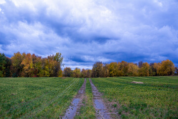 Naklejka premium Cloudy Landscapes