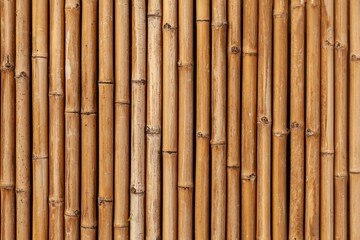Brown old Bamboo fence texture and background seamless