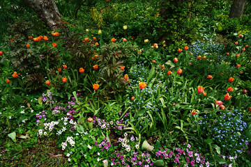 カラフルな花が一杯の庭の風景