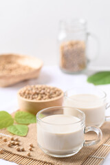 Soy milk in a cup glass and soy beans in a bowl on white background, Healthy drink