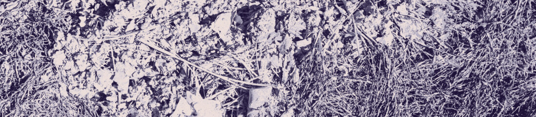 abstract pale violet color background for design