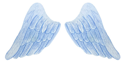 Watercolor blue delicate angel wings Realistic wings illustration.