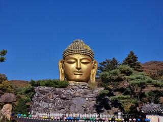 불두