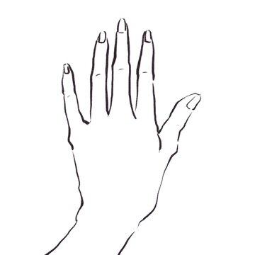 recommend clip art: 白背景に広げた手、ハンド、指、手の甲、（白黒）