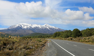 Road to Tongariro NP, New Zealand
