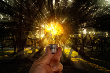 idea solar energy in nature and holding a light bulb