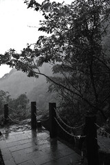 how many drops can you see....