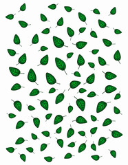 Vector illustration with green foliage on a white background. Eco-friendly life. Illustration with leaves. Template for invitations, certificates, postcards, print and web.