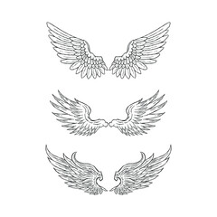 wings set illustration vector hand drawing