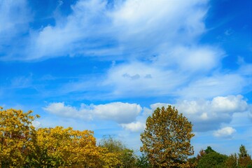 Fototapeta premium autumn landscape with blue sky