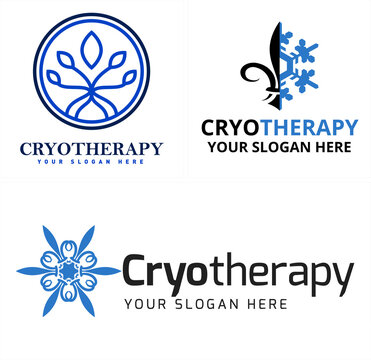 Modern spa aesthetics cryotherapy snowflake Fleur De Lis logo design