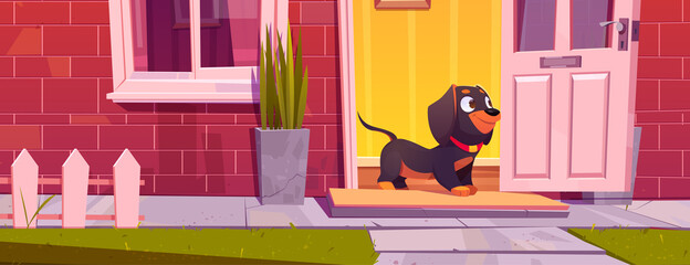 Cute dachshund dog stand at home door, pet going for a walk. Domestic animal cartoon funny character at cottage doorway with window, red brick and fence, puppy at house outside, Vector Illustration