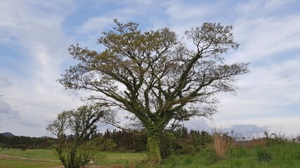 한국 자연 경관