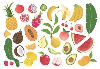 Various hand drawn fresh fruits illustration for cards, media, fabric and wallpaper