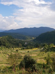 landscape in the mountains