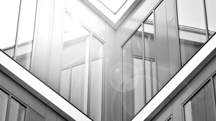 Corporate architecture building. New modern office building. Textured pane of contemporary glass architectural building. Black and white.