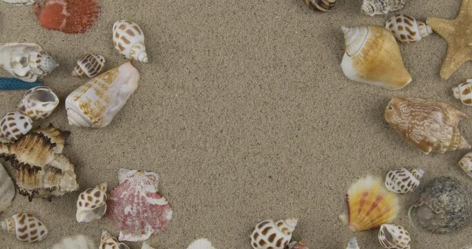 Close-up. Zoom frame of seashells and stars. With space for the designer. Top view.