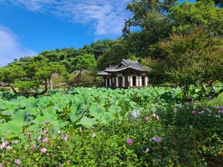gazebo in the park