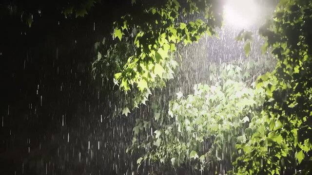 Summer storm rainy season night street lamps Heavy rain and typhoon lightning through the trees can be heard comfortably and cozy along with the sound of thunder and rain.